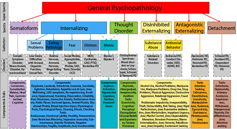Discover the HiTOP Assessment Model, revolutionizing how we understand and assess psychopathology with its dimensional approach. Download the attached file for insights into its application in clinical practice and research.